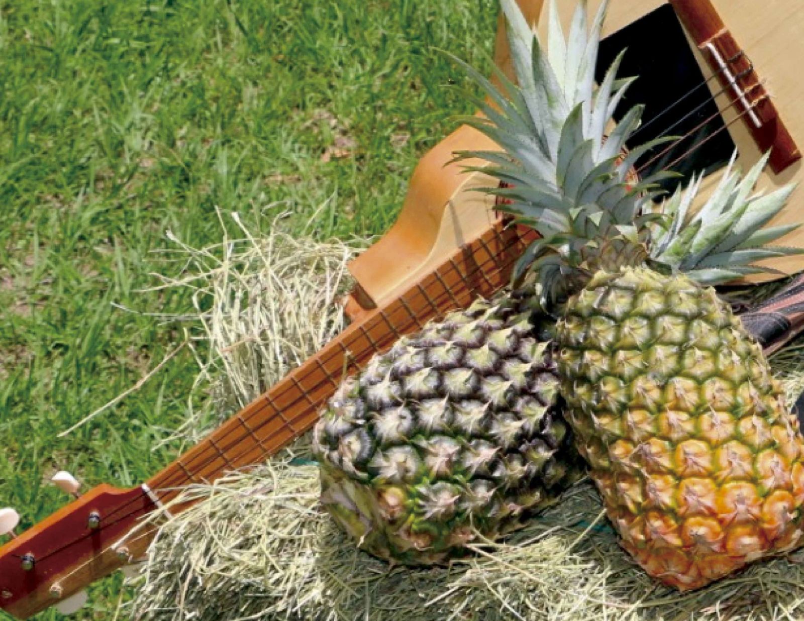 Productores – Marca Cundinamarca