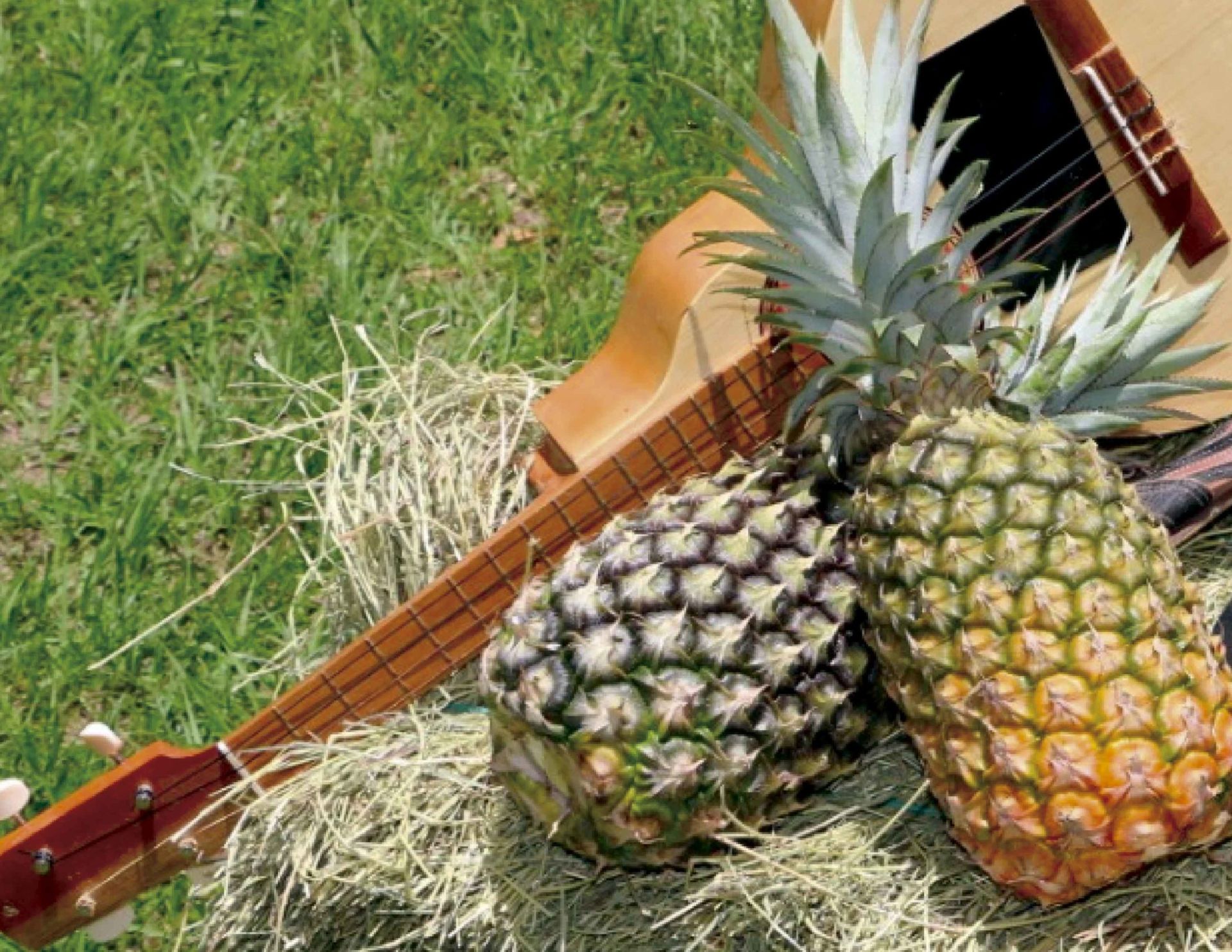Productores – Marca Cundinamarca