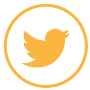 icono-twitter